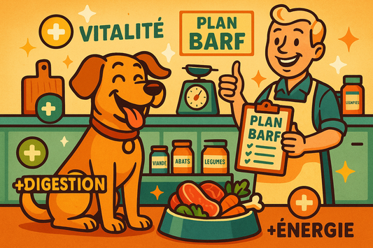 Le régime BARF pour chien : Origines et principes de l’alimentation naturelle