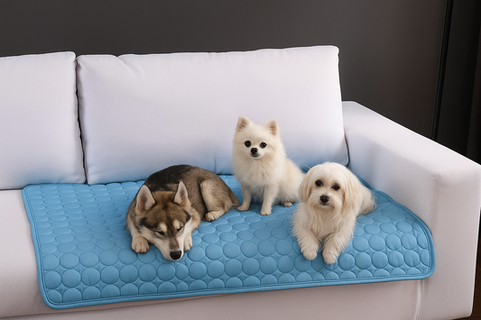 Coussin Rafraîchissant Confort – Fraîcheur et douceur toute l'année